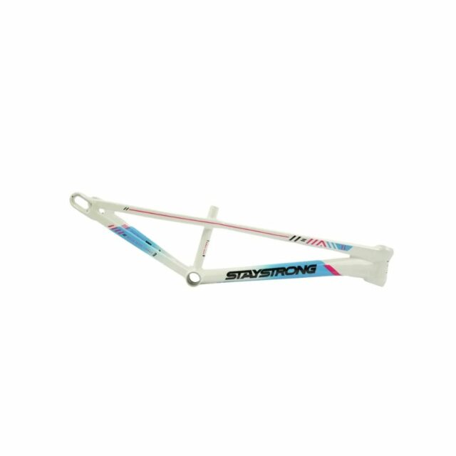 CUADRO BMX STAY STRONG FOR LIFE V6 CMYK