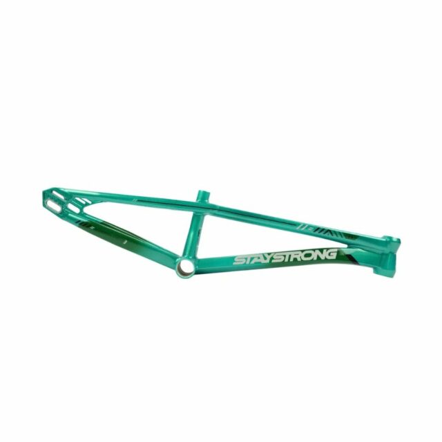 CUADRO BMX STAY STRONG FOR LIFE V6 MENTA/NEGRO